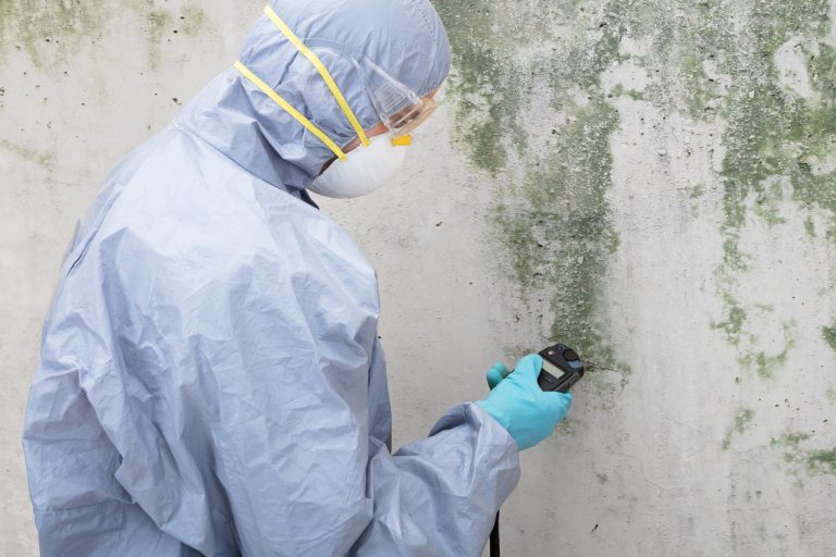 Toxic mold litigation