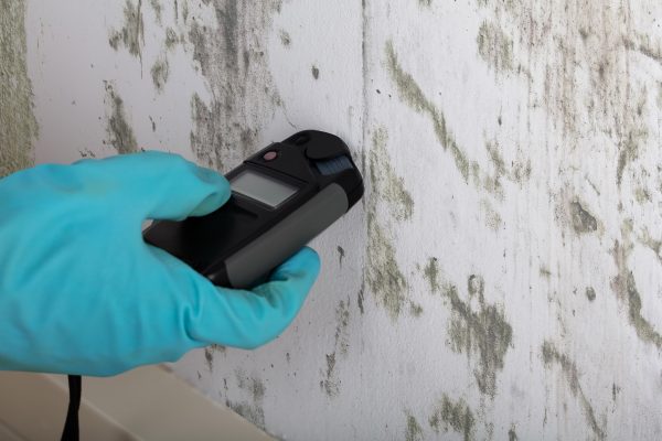 A person wearing a blue glove holds a moisture meter against a white wall affected by toxic mold. The device's screen is visible, highlighting developments in detecting issues, as the wall shows various spots of greenish-black mold often involved in toxic mold litigation.